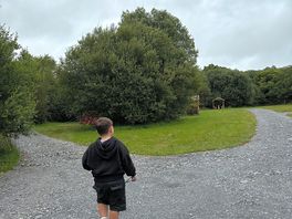 Site view