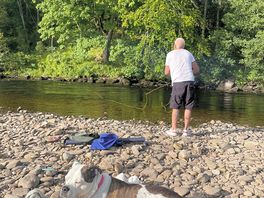 Hunting for trout