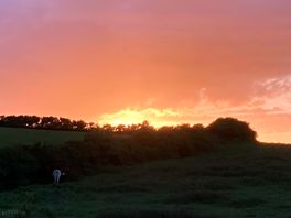 Gorgeous sunset.