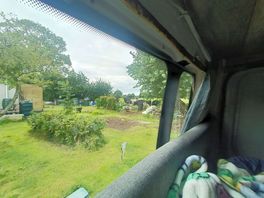Neighbours having a look