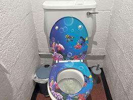 Funky toilet seats