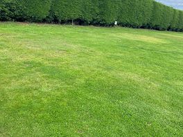 Nicely cut grass and maintenance
