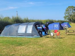 The grass pitch with electric hookup on one side.