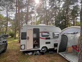 Camping mitten im wald umgeben von kiefern und ruhe pur