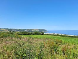 Field and views