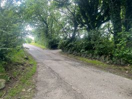The lane