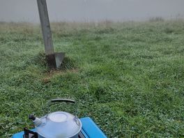Cup of tea early in the morning