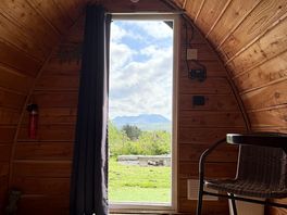 Bed with a view!