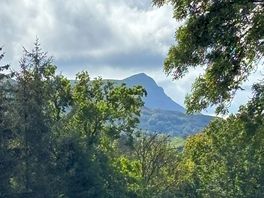 View from my tent