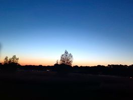 Sun set