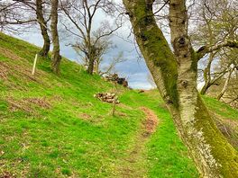 The path between the yurt and where the car is parked near the owner’s house.