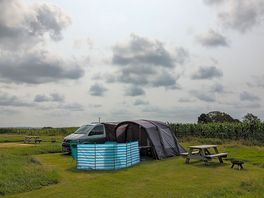 Lots of space, picnic table and firepit.