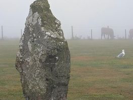 Standing stone on site..