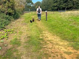 Amazing walk