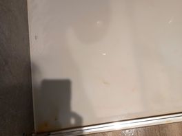 Pink mould amd dirty