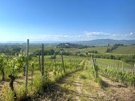 Beautiful view