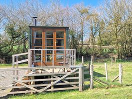 Lady Eleanor shepherd's hut
