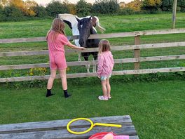 Kids loved feeding grass to the horses