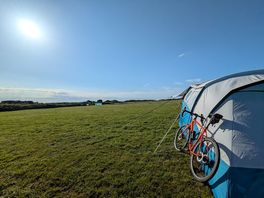 View of the field.