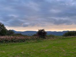 Views from the site