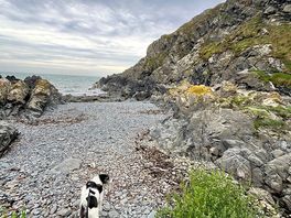 Down at castle bay