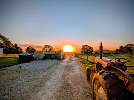 Sunrise from ivy bank
