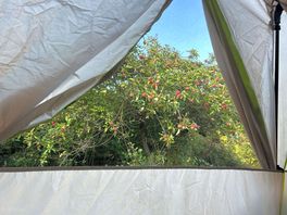 Orchard to ourselves