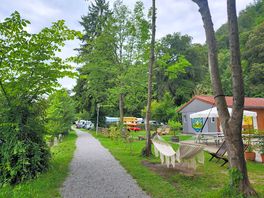 Walking track