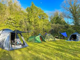 The grass pitches