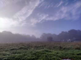 Early morning mist