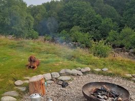 Fire pit