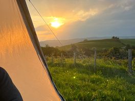 Evening view