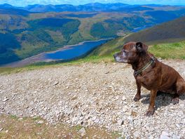 On our way down from helvellyn.