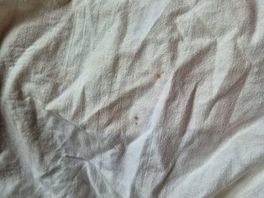 I have been told this sheet was washed, fresh and cleaned