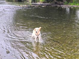 April enjoying the water