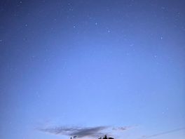 Stars