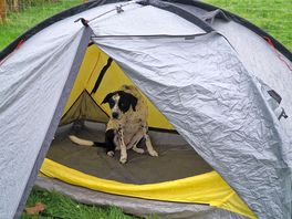 On the last morning, she didn't really want to leave!