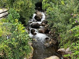 One of many waterfalls on the trail from the campsite.