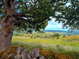 Walk to bakewell