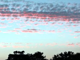 Sky.