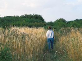 Walking the meadow 1