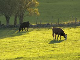 Rural location