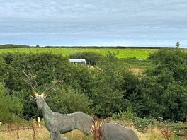 View. from the farmhouse