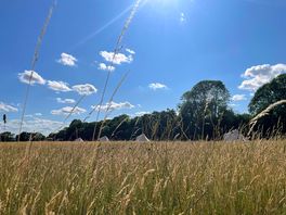 Readers field on a sunny summer’s day