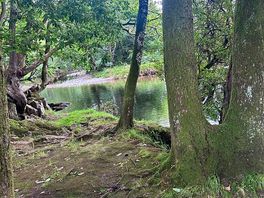 Gorgeous stream