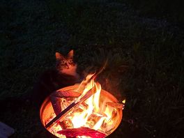 Friendly visitor