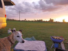 Evening barbeque