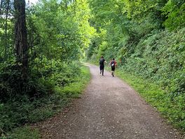 Woodland walks