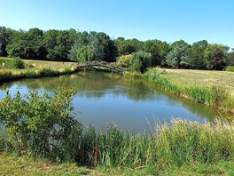 Scenic fishing lake.