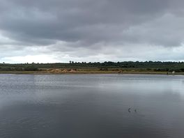 Moody sky's